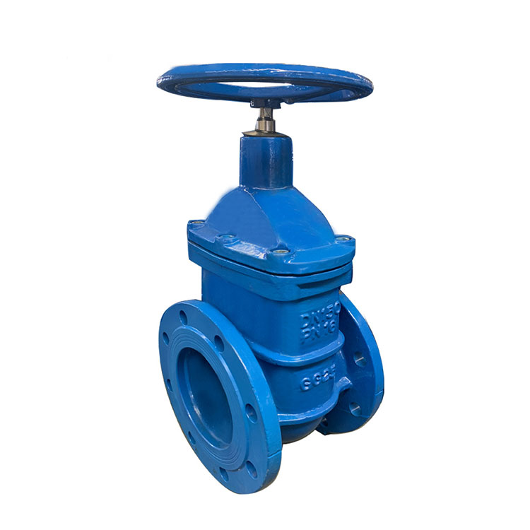 Features and considerations for a flange metal seat gate valve