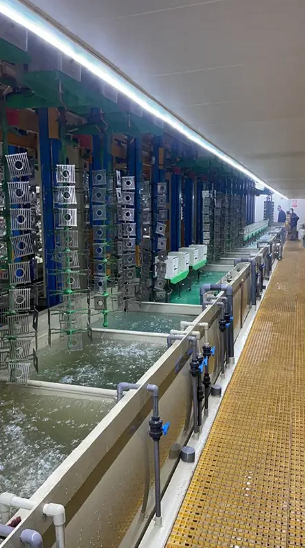 Custom Sanitary Ware Vertical Lift Plating Equipment Enhances Coating Efficiency and Quality